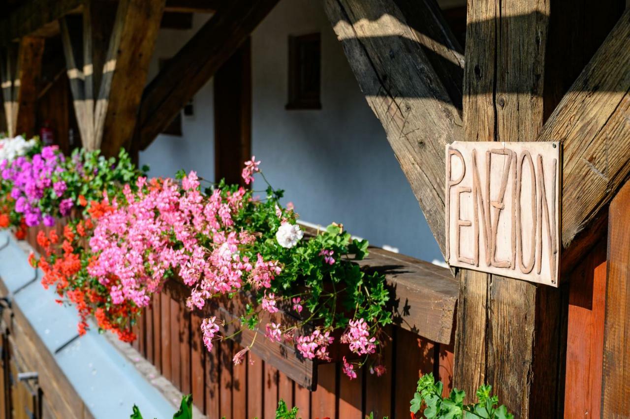 Penzion Tyra Trinec Exterior photo